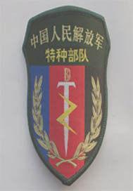 你的青春我的军营电视剧免费观看