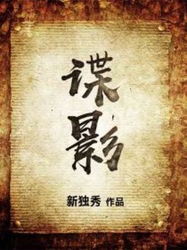 谍影追凶