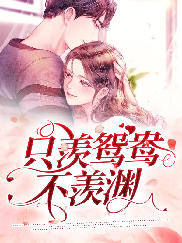 不羡鸳鸯不羡仙演员表