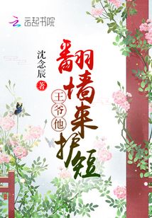 王爷爬墙