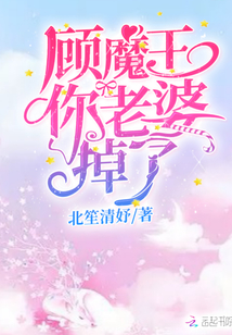 顾魔王你老婆掉了