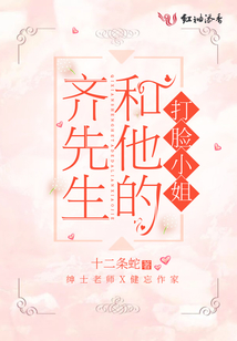 齐先生与季先生