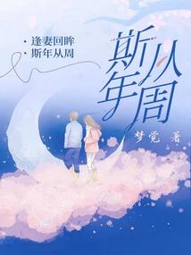 斯年全部小说