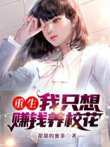 重生后我只想赚钱 小说