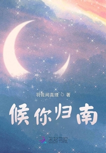 侯你缓缓归 小说全文免费阅读
