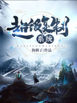 超级复制系统唐辰有几个道侣