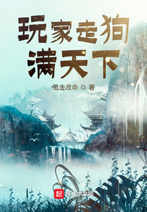 玩家走狗满天下小说免费阅读