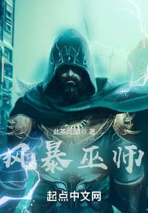 风暴巫师小说