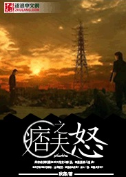 痞夫之怒小说