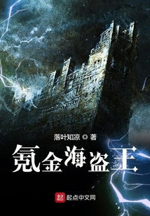 氪金海盗王txt