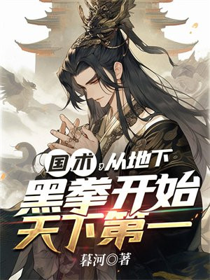 《国术:从地下黑拳到世界拳王》