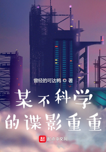 某不科学的 小说