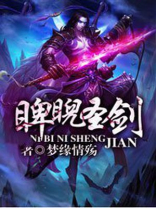 睥睨圣剑小说