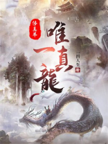 修真界的最后一条真龙