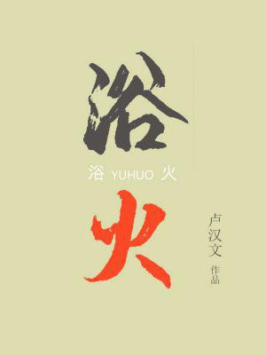 浴火凤凰在线全集免费观看