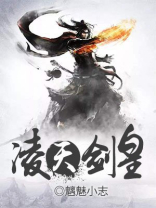 凌天剑皇百度百科