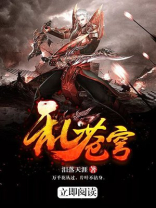 乱苍穹 泪落天涯写的咋样