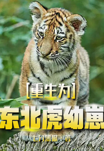 重生为东北虎幼崽免费阅读全文