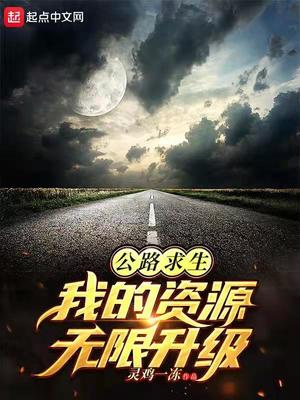 公路求生:从升级资源开始 小说