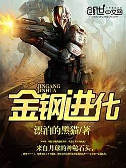 金钢进化 小说