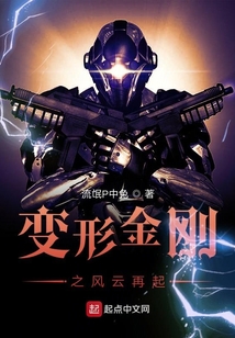 变形金刚之风云再起txt