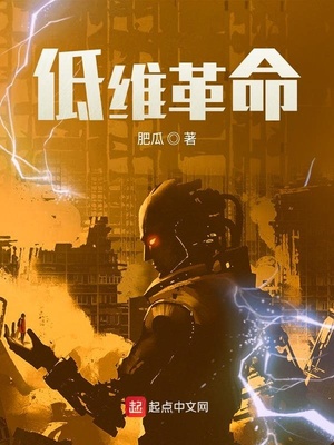低维革命评价