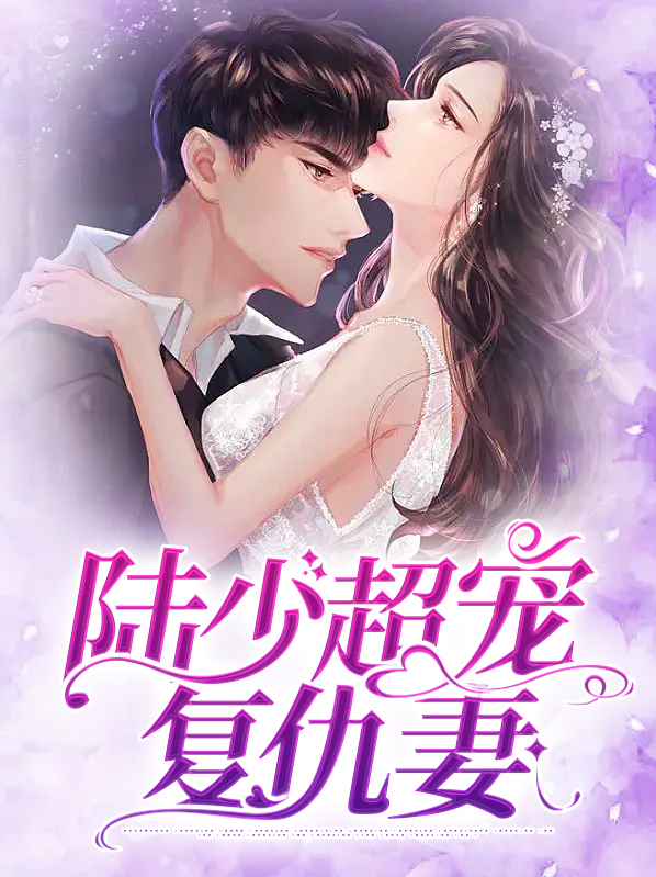 陆少超级宠爱