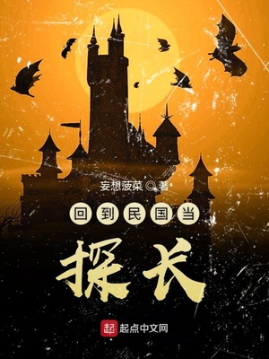 民国女探长电视剧