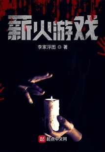 薪火游戏ns