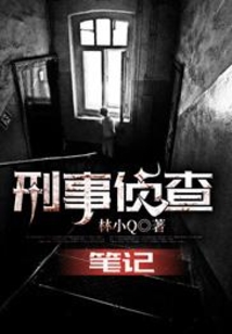 刑事侦查笔记小说TXT下载