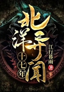 北洋异闻十七年 小说