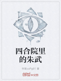 四合院里的朱武是什么人