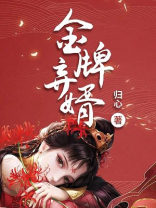 金牌弃婿TXT