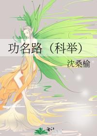 功名路(科举)百度网盘