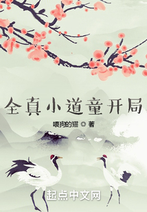全真小道童开局笔趣阁