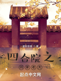 四合院之闫家老大免费阅读
