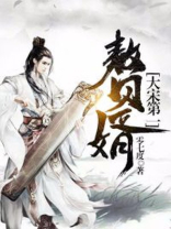 大宋第一赘婿TXT