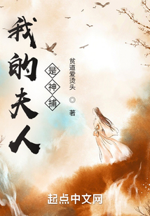 我的夫人是神捕百度百科