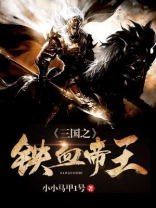 三国之铁血帝王 小小马甲1号