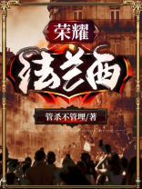 荣耀法兰西小说