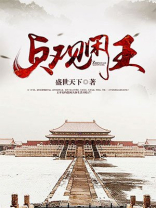 贞观闲王 小说下载
