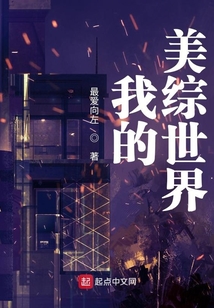 我的美综世界小说