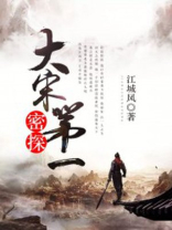 大宋第一密探 沈默