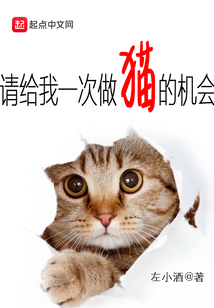 请给我一次做猫的机会作文