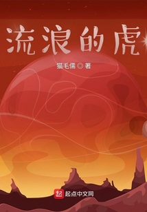 流浪的老虎