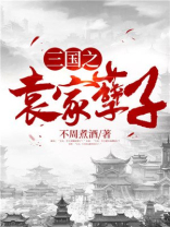 三国之袁家三子