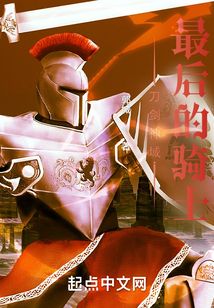 刀剑神域:最后的骑士