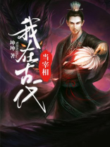 我在古代当皇上小说