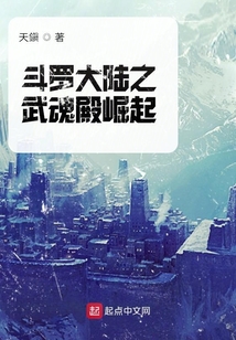 斗罗大陆之无限愿望 小说