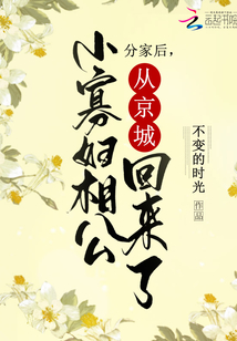 分家后,小寡妇相公从京城回来了小说